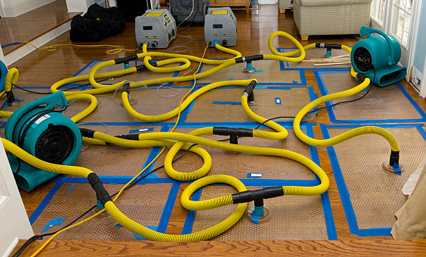Professional Flood Damage Restoration technician working in Poulsbo, WA